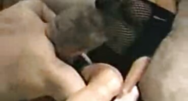 sex cliphot vn Kimm kim kim được fucked bởi một người lạ và bị phim set gai dep ướt với kiêm.